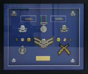 Service Collection