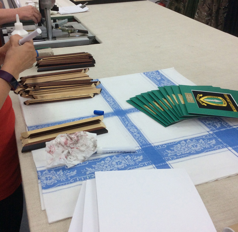 Conservation Framing